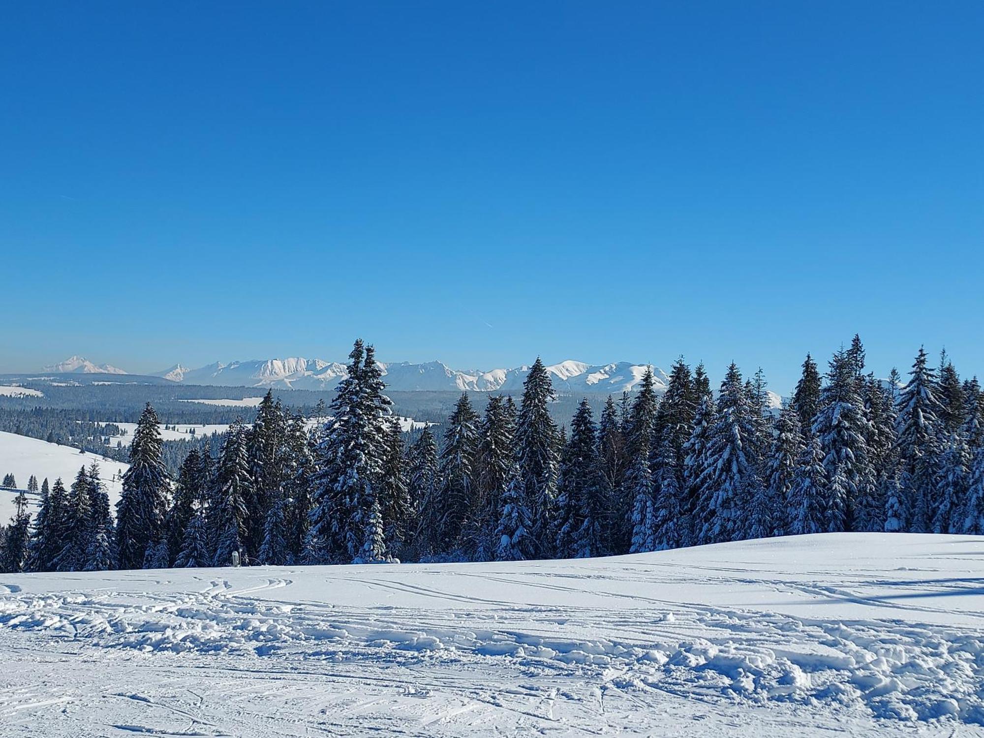Noclegi Nad Czarna Orawa Podwilk Exterior foto